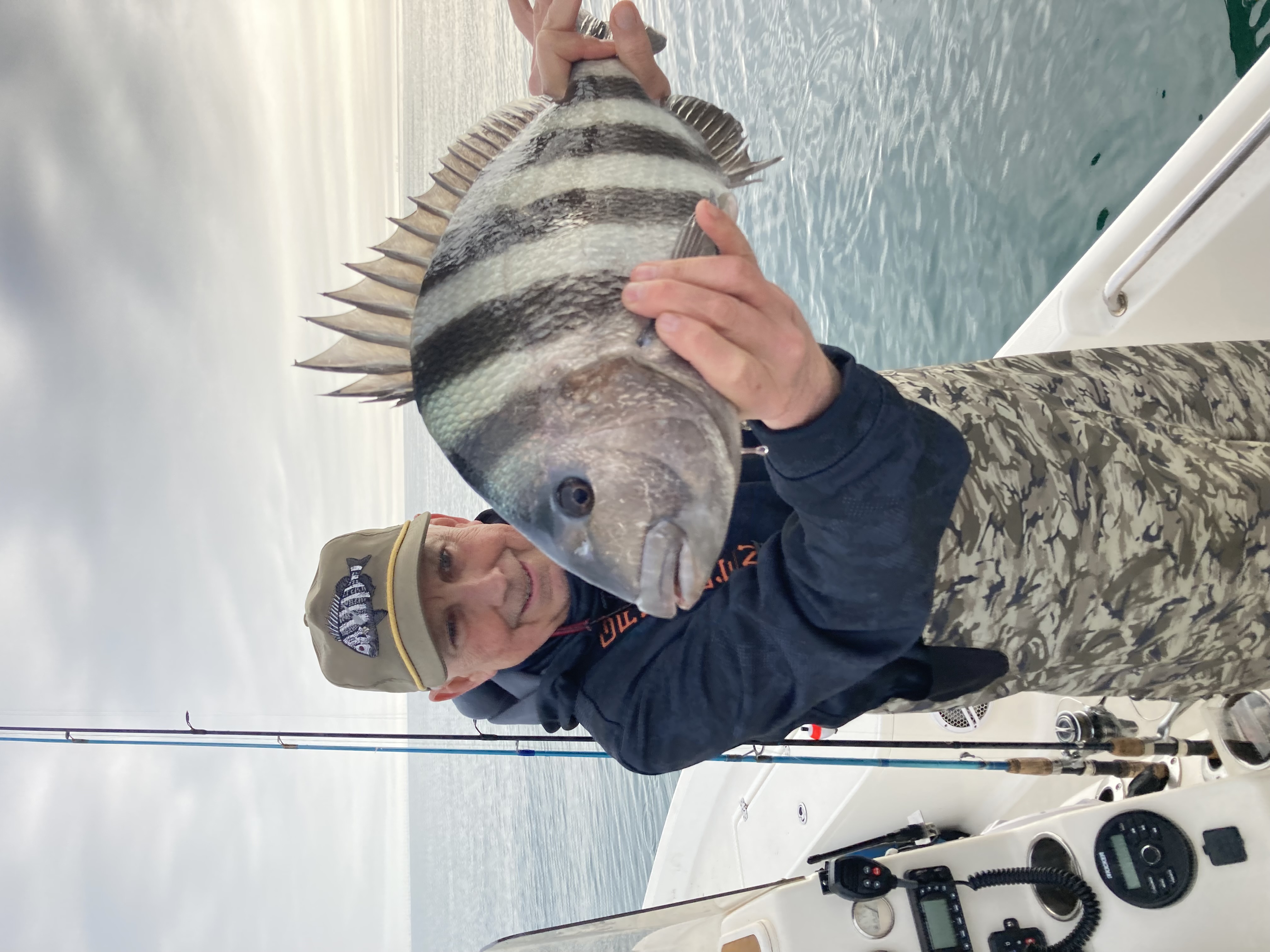 Man on a charter boat holding a larger sheepshead fish.