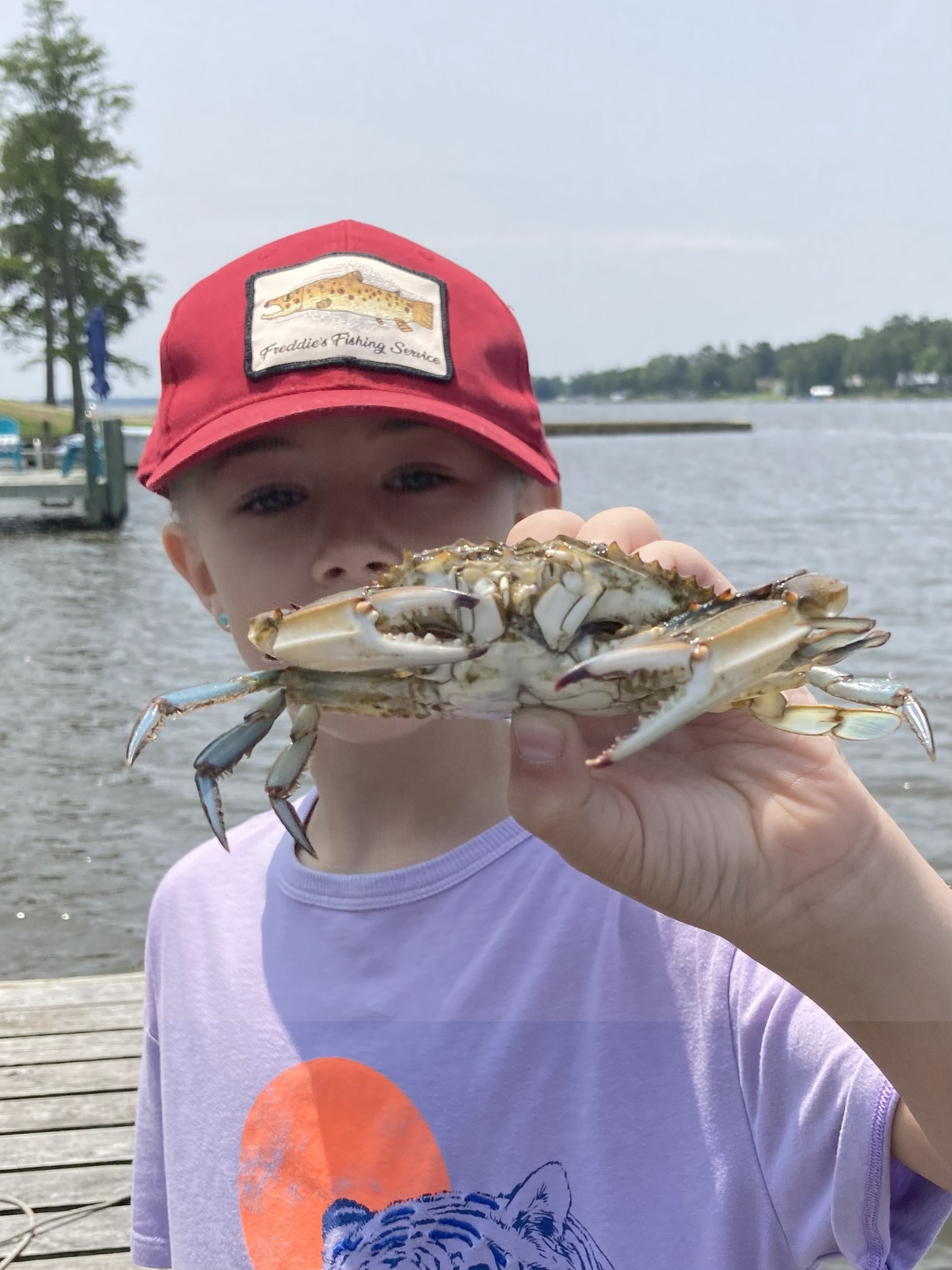 Boy holding a crab.