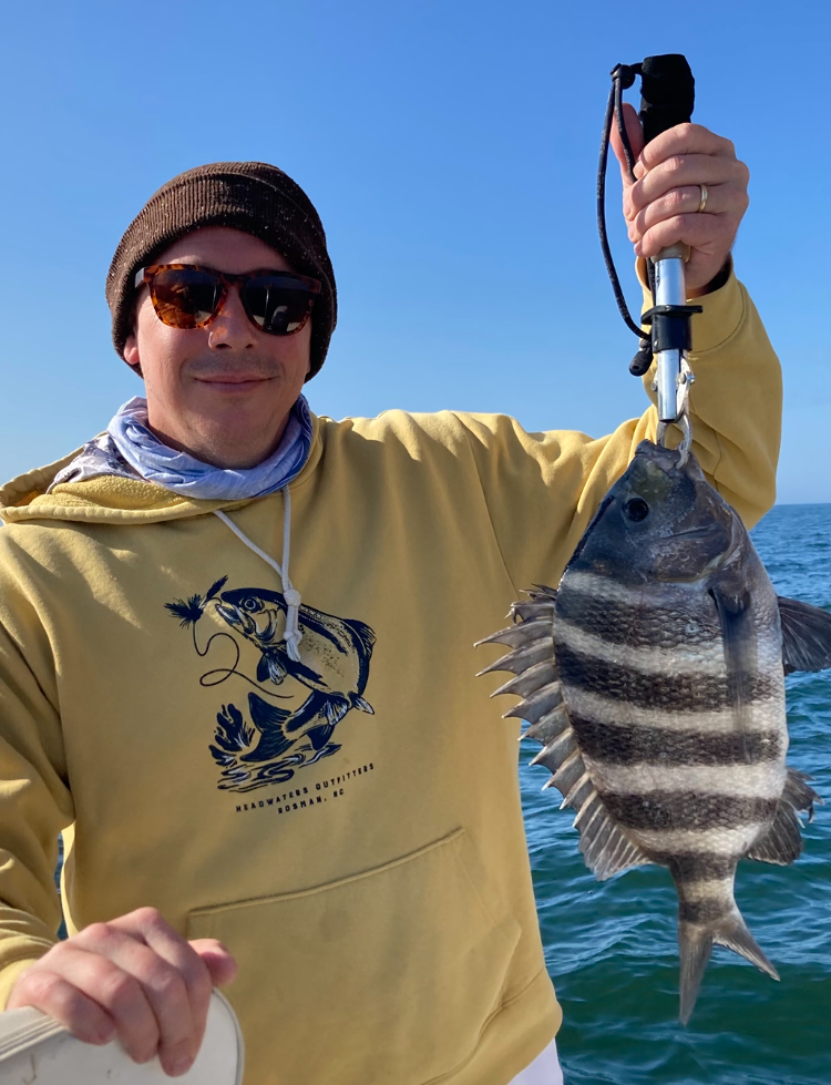 Man in yellow hoody holding a sheepshead fish.