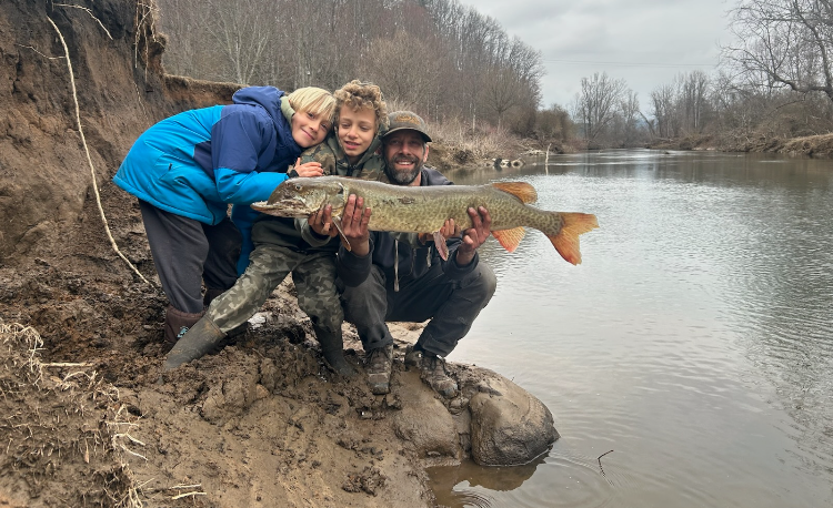 Father and two sons holding a giant fish.