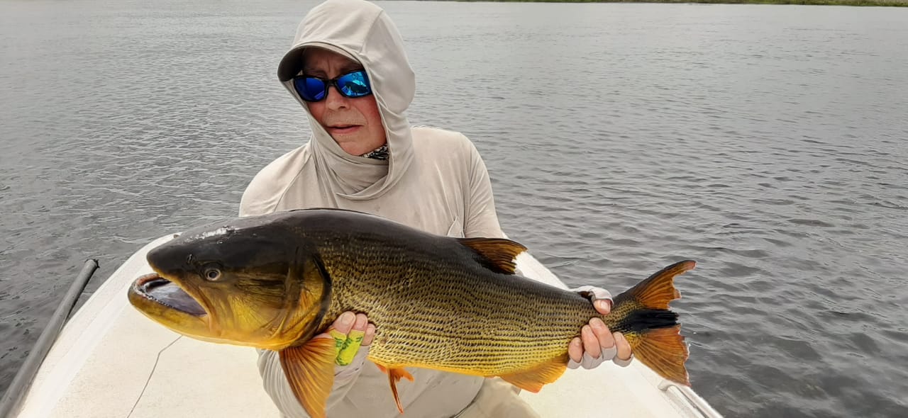 Man with a larger fish on a boat in the lake.