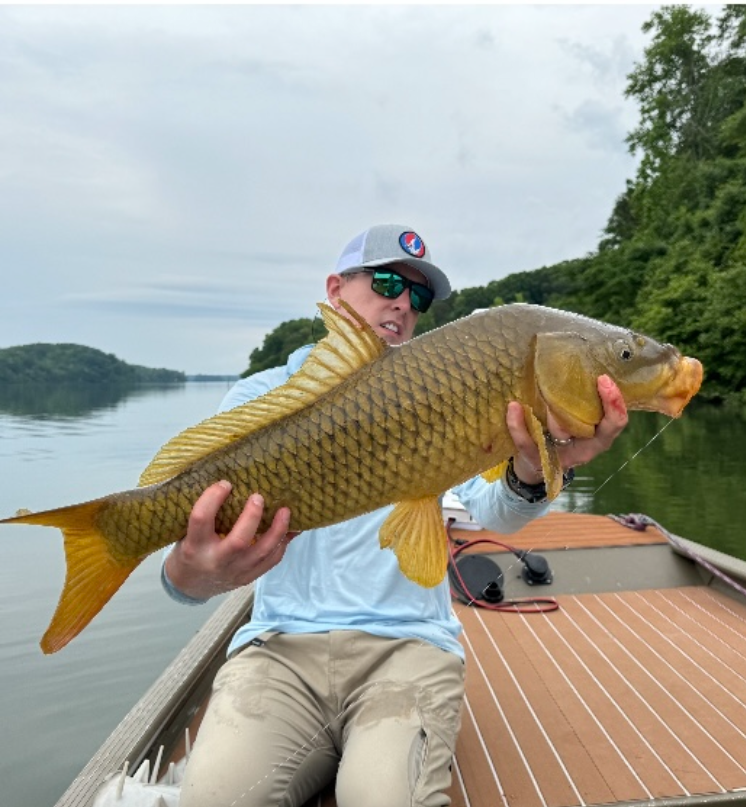 Man on a boat holding a large yellow fish.