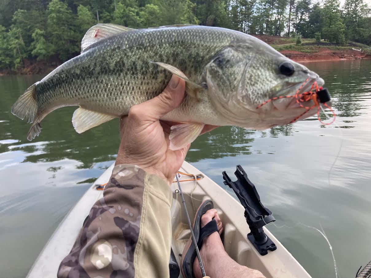 Fish caught with a homemade fly.