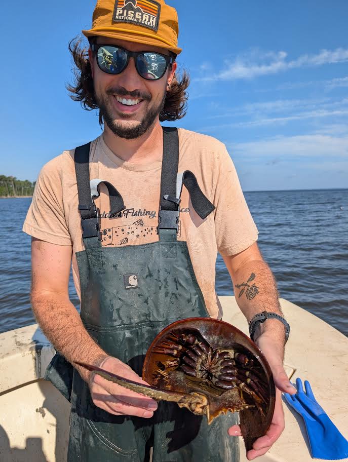 Man holding a horseshoe crab.